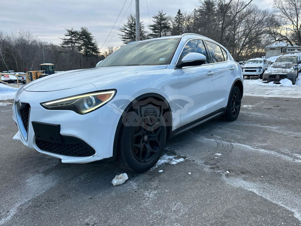 Alfa Romeo Stelvio 2.0L  4 2019