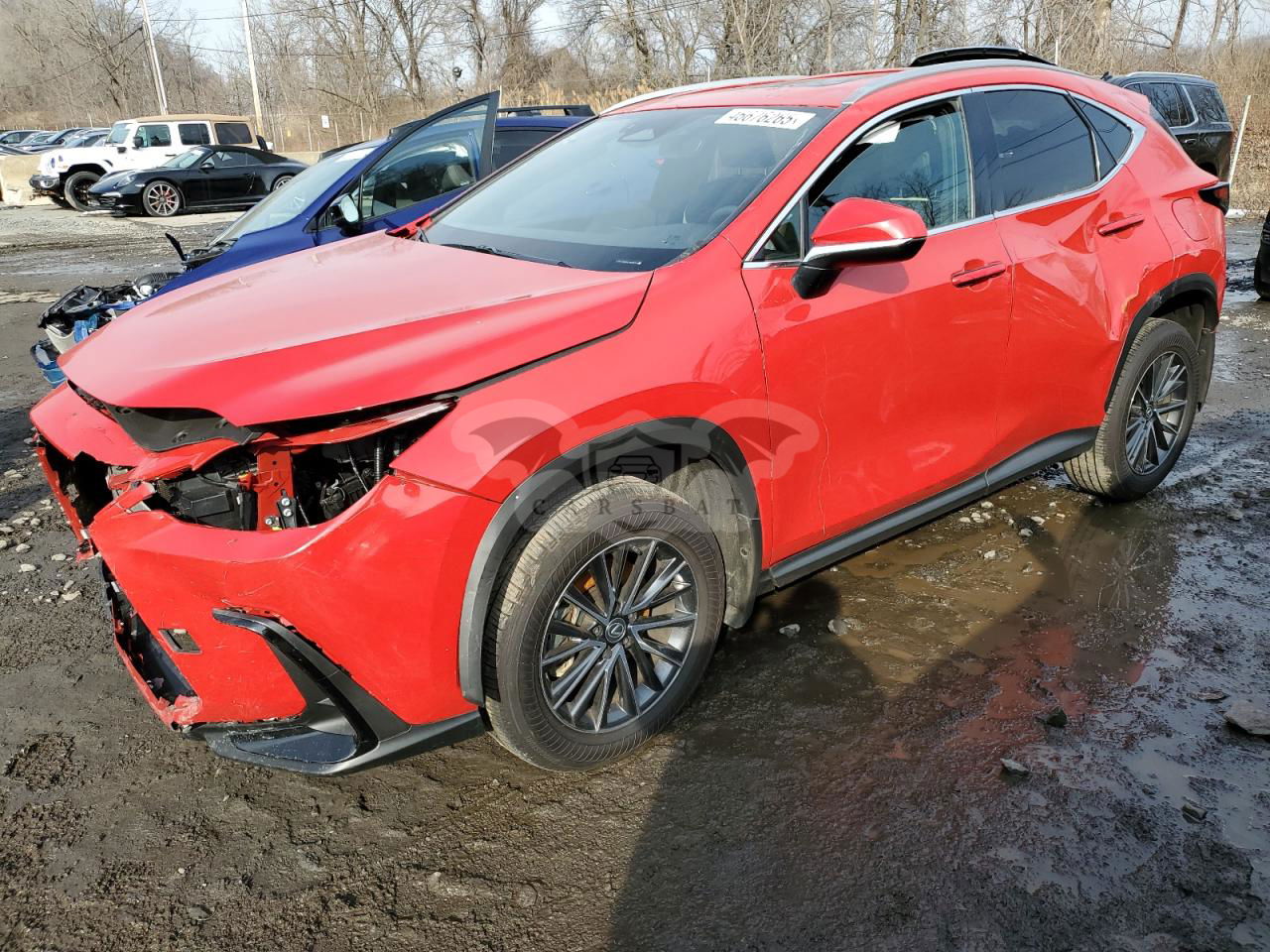 Lexus NX 350 BASE 2.4L  4 2024