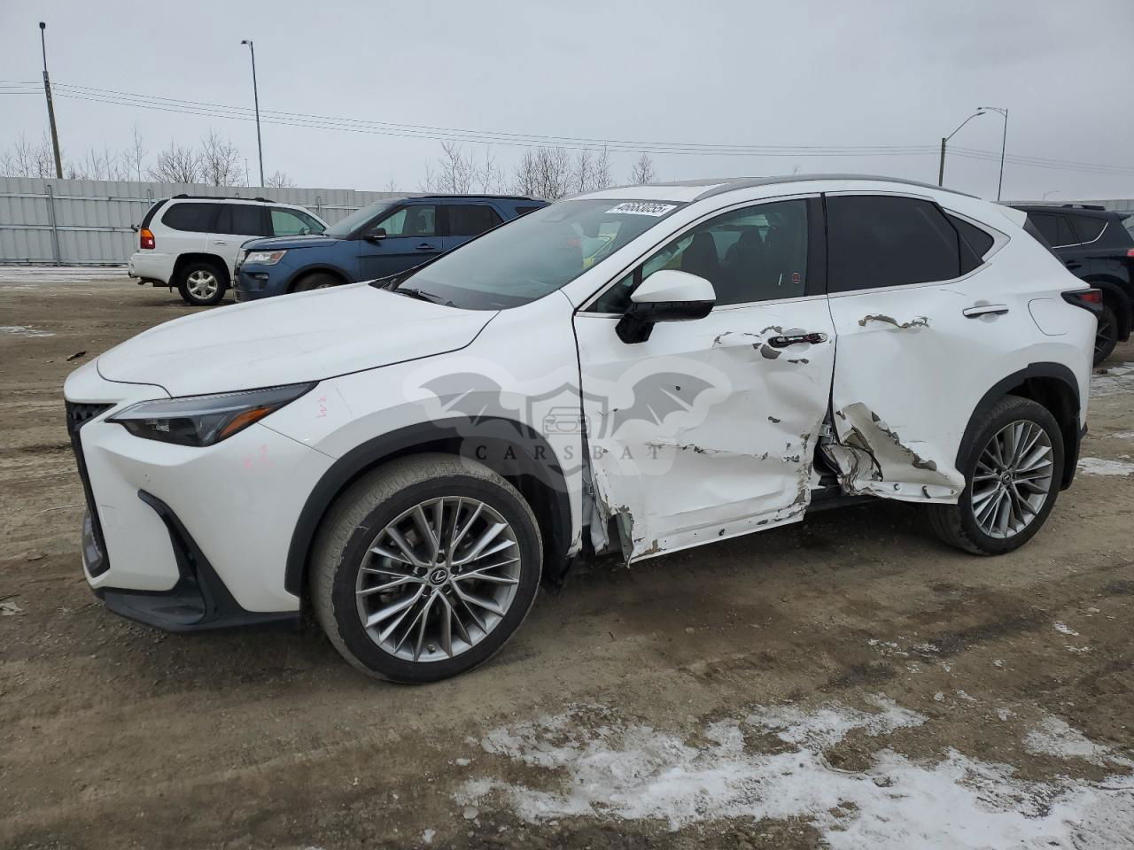 Lexus NX 350 2.4L  4 2023