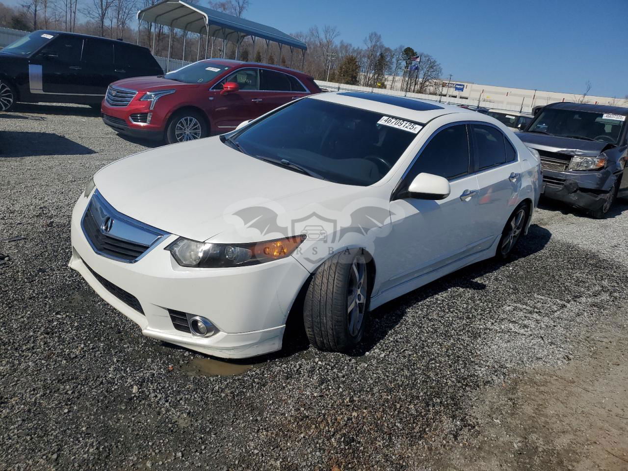 Acura TSX SE 2.4L  4 2012