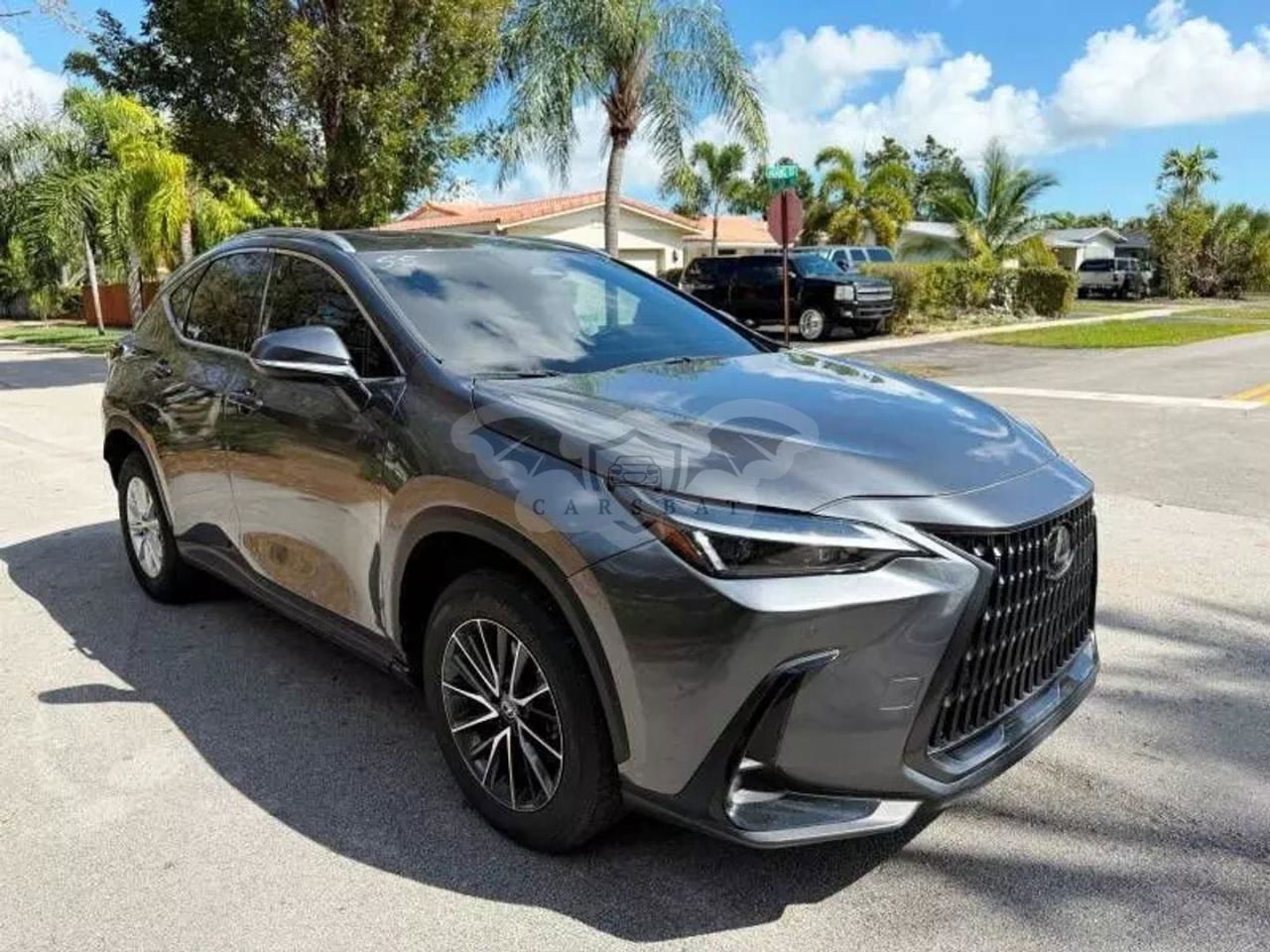 Lexus NX 250 PREMIUM 2.5L  4 2024