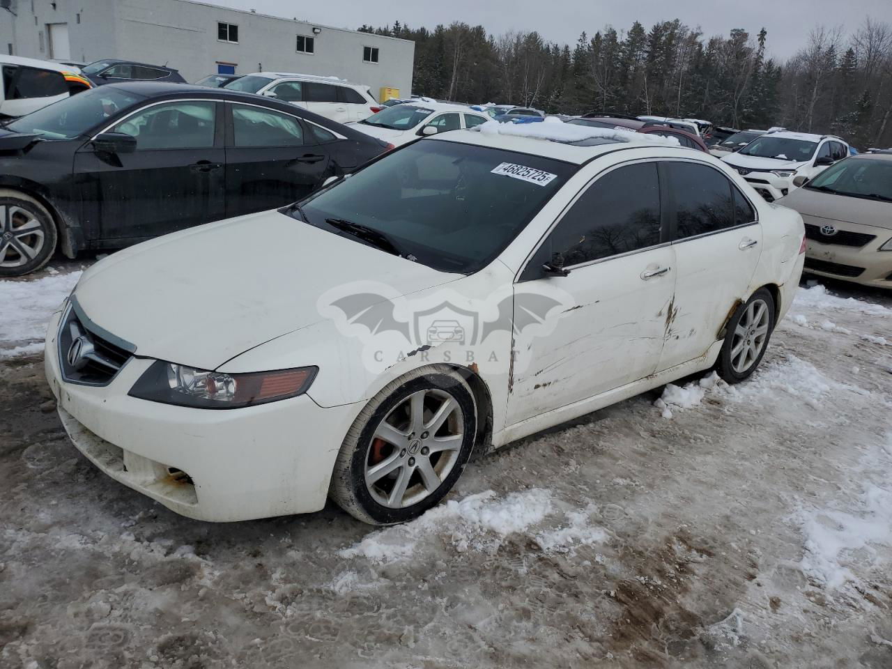 Acura TSX 2.4L  4 2005