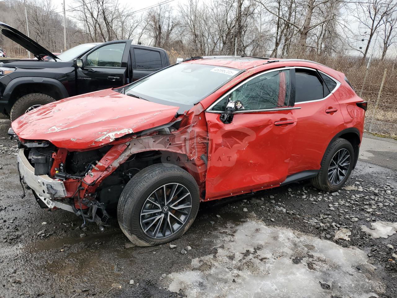 Lexus NX 350H BASE 2.5L  4 2024