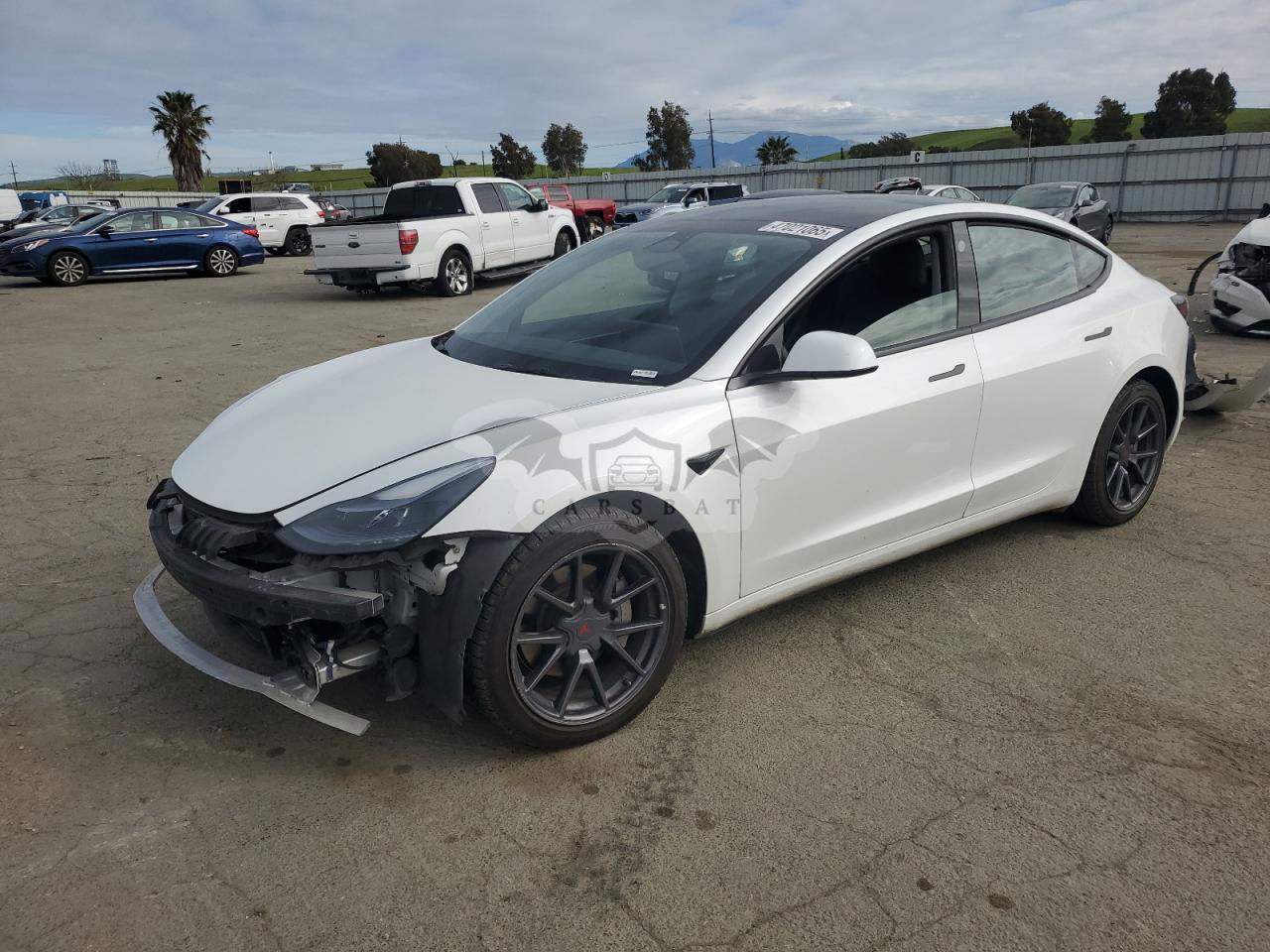 Tesla Model 3 2022