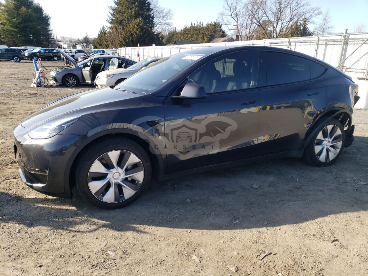 Tesla Model Y 2024