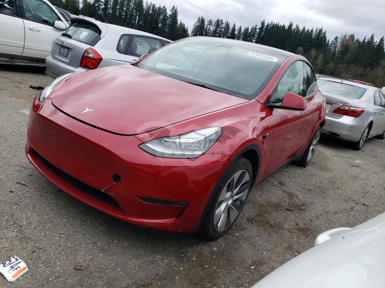 Tesla Model Y 2021