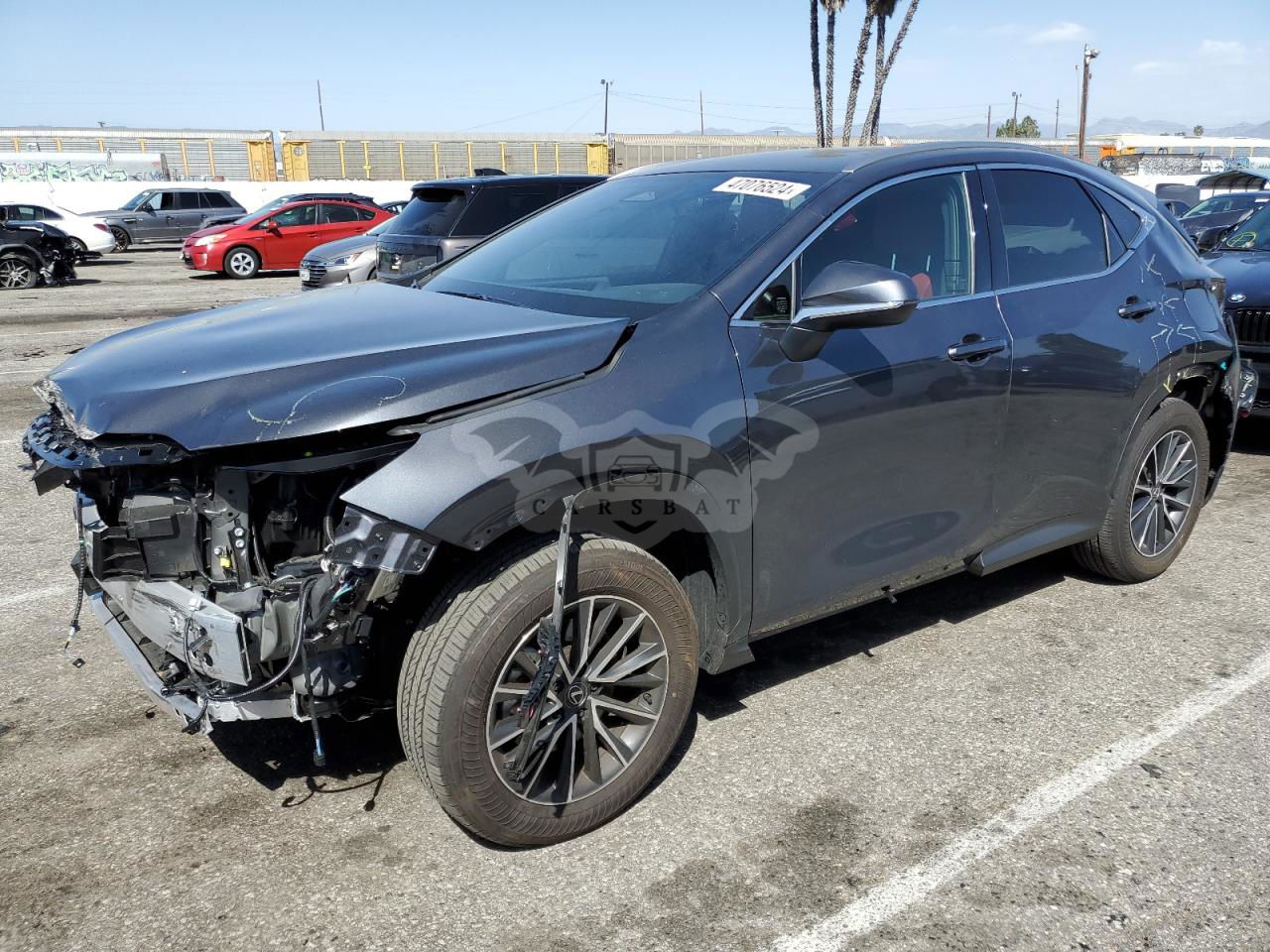Lexus NX 2024
