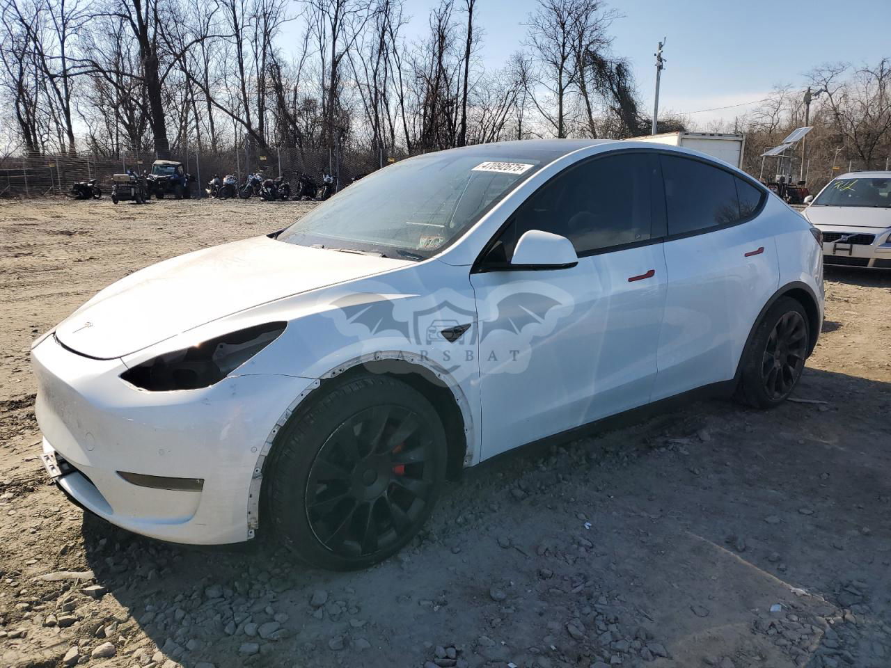 Tesla Model Y 2020