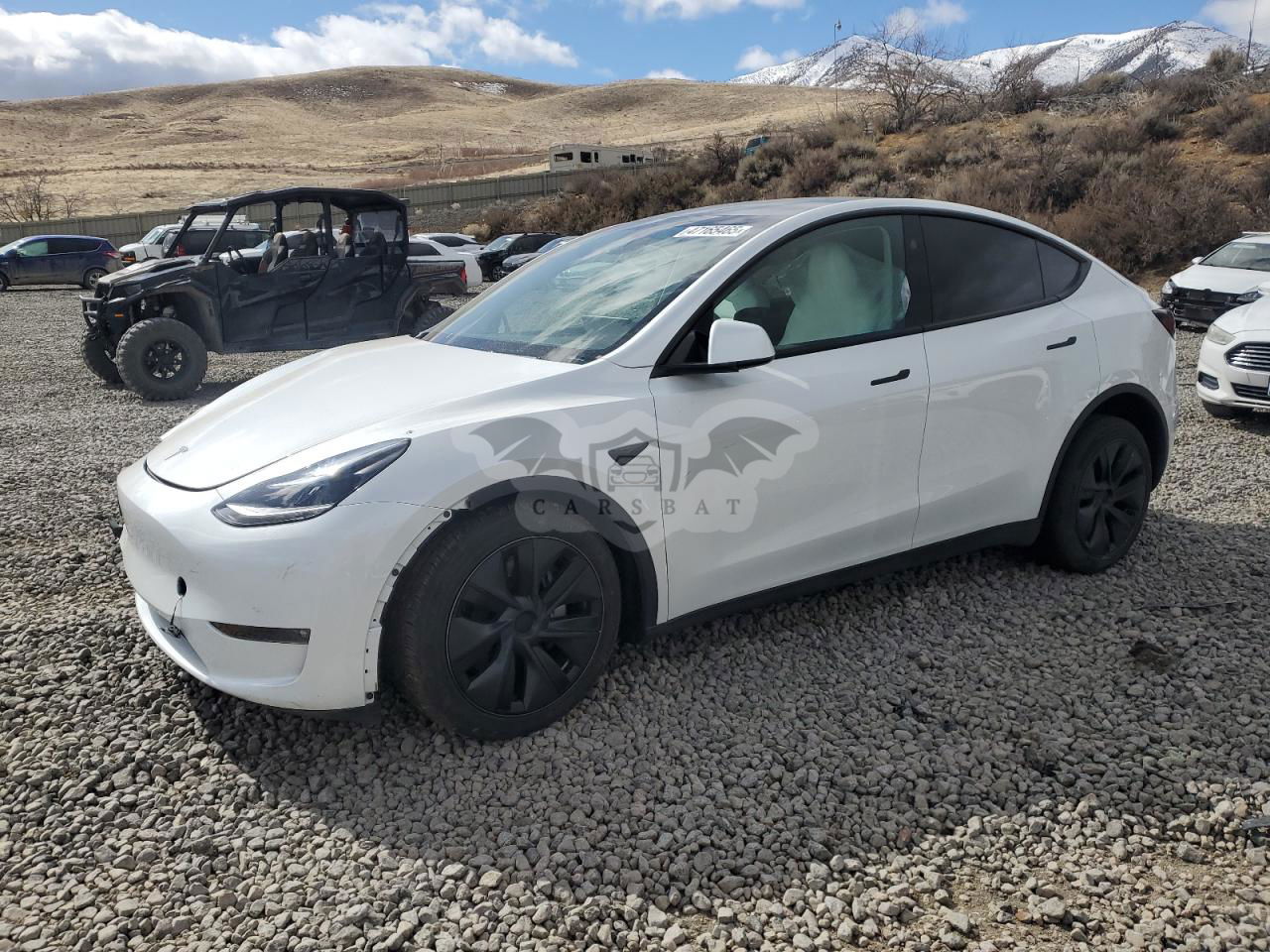 Tesla Model Y 2024