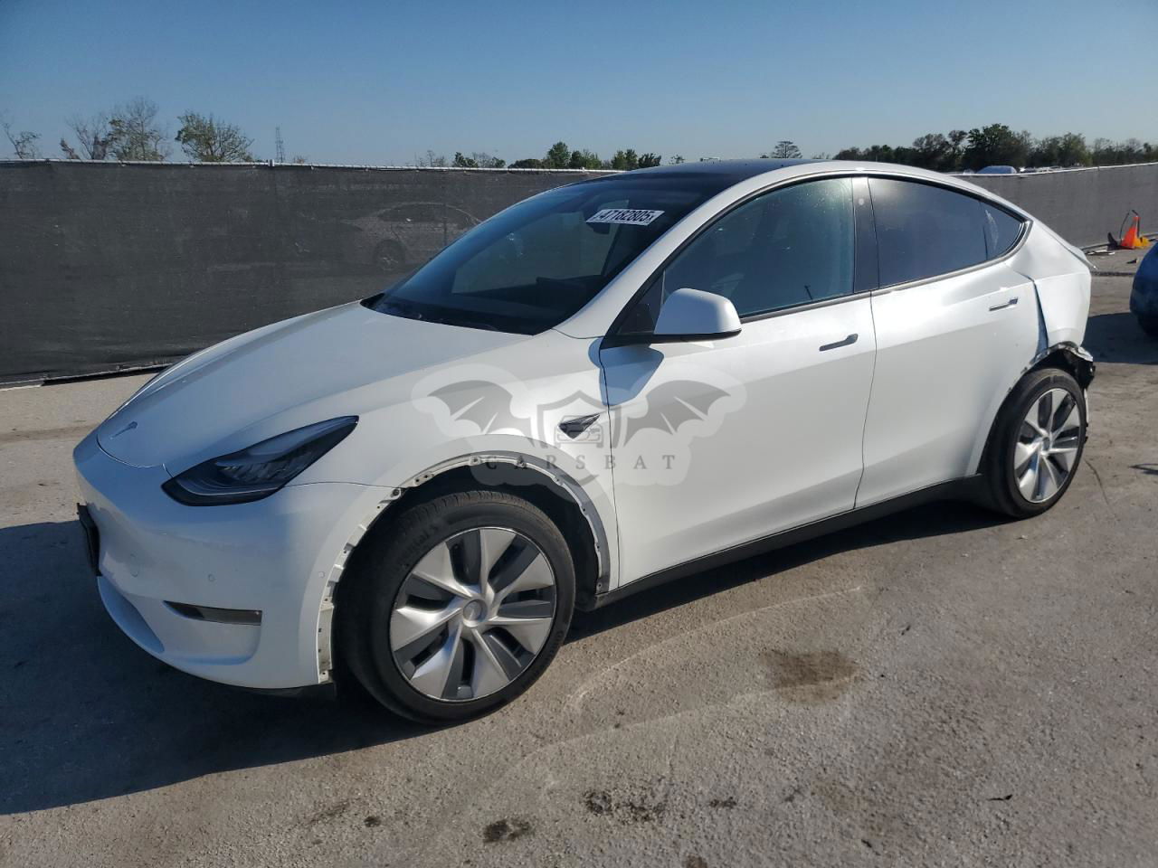 Tesla Model Y 2020