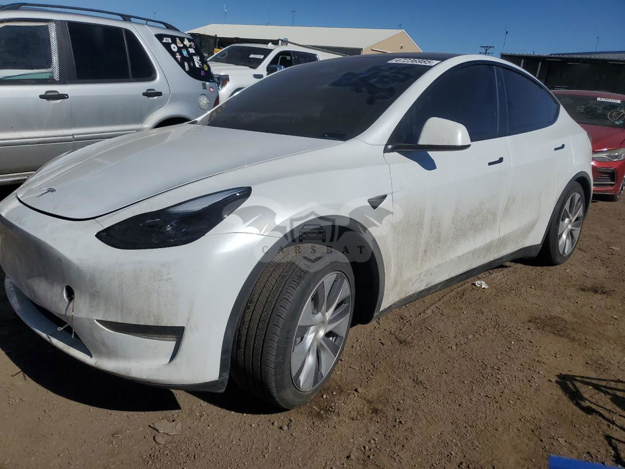 Tesla Model Y 2024