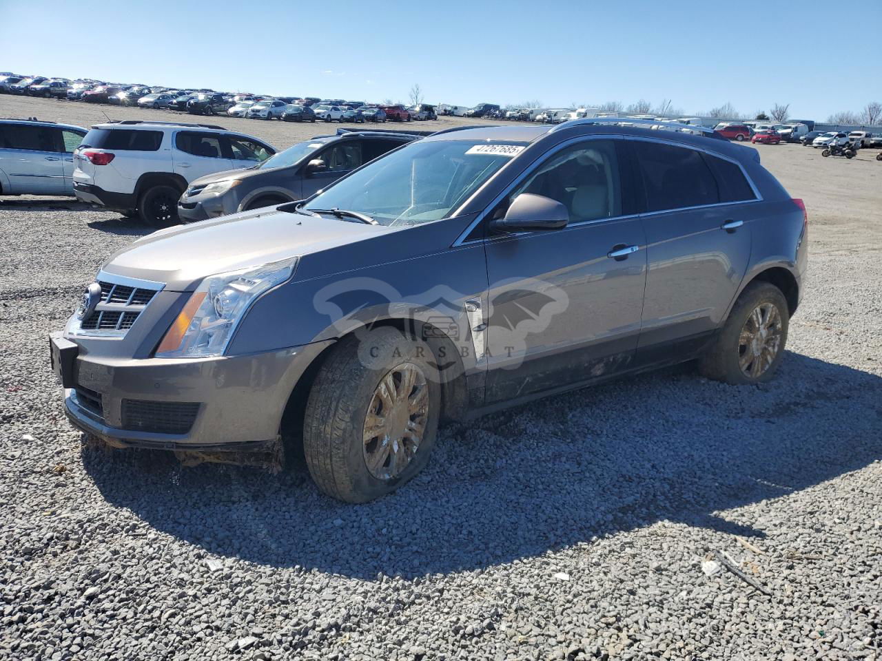 Cadillac SRX LUXURY COLLECTION 3.0L  6 2011
