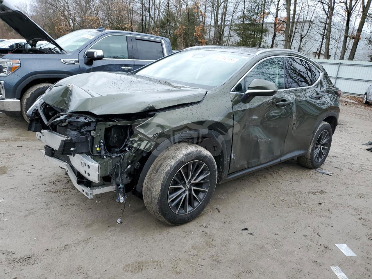 Lexus NX 350 PREMIUM 2.4L  4 2024