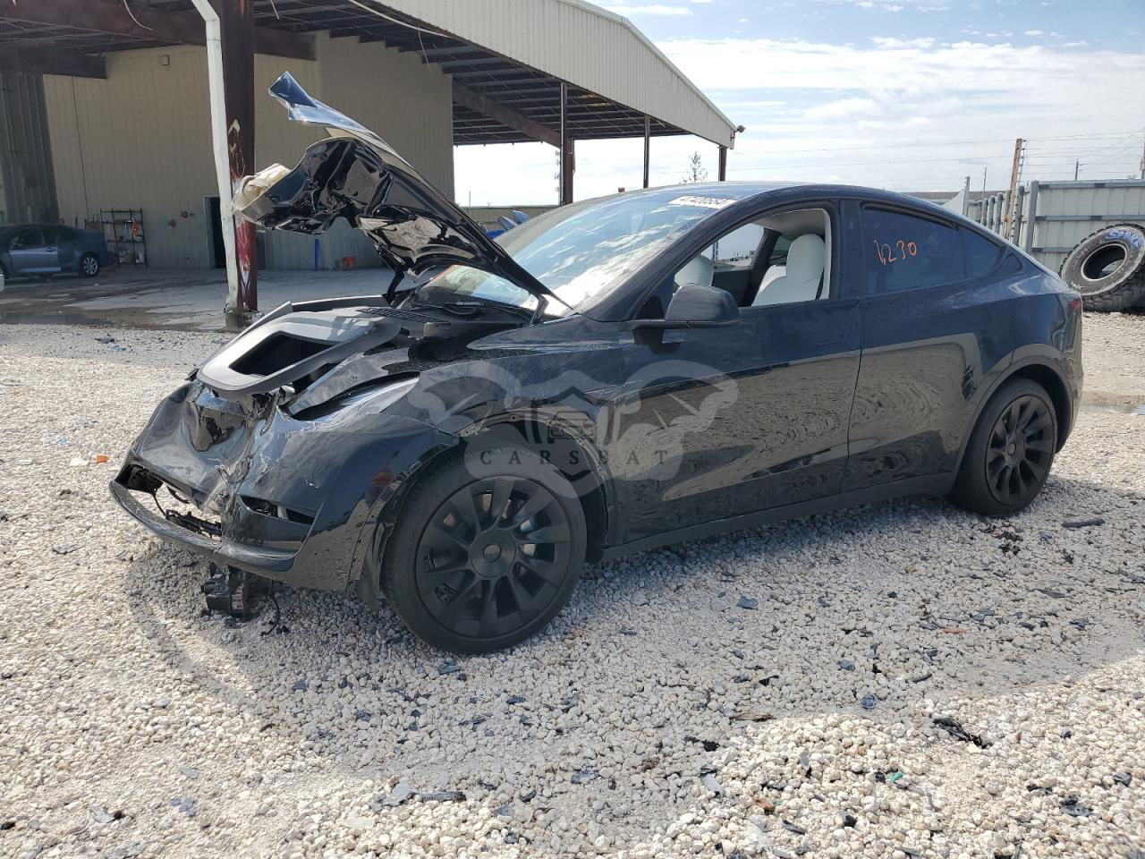 Tesla Model Y 2024