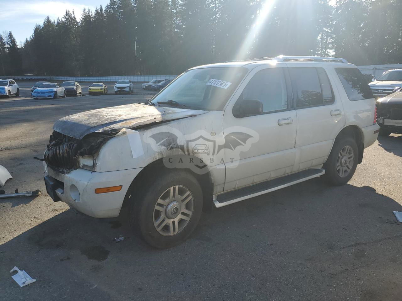 Mercury Mountaineer 4.6L  8 2004
