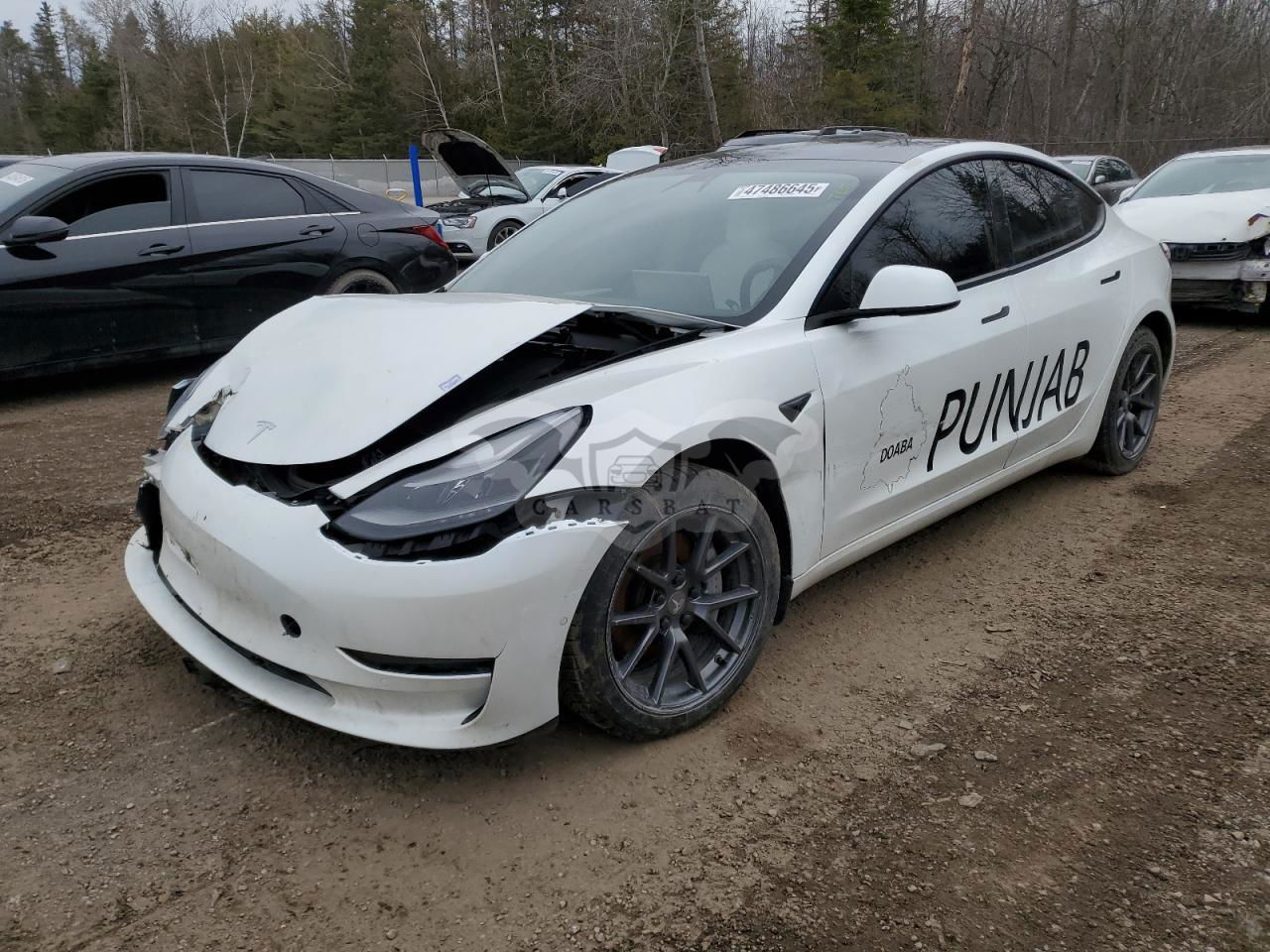 Tesla Model 3 2022