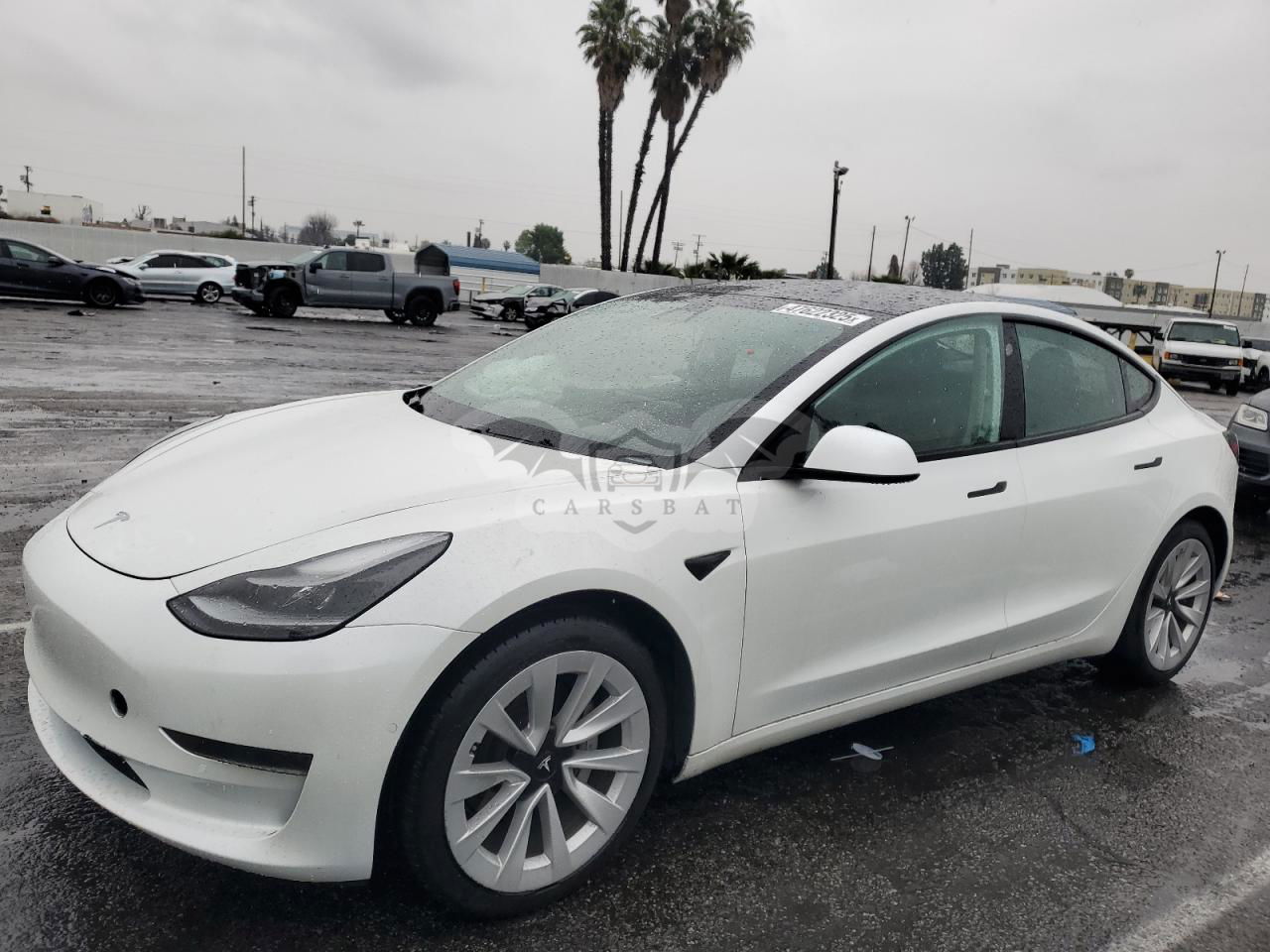 Tesla Model 3 2021