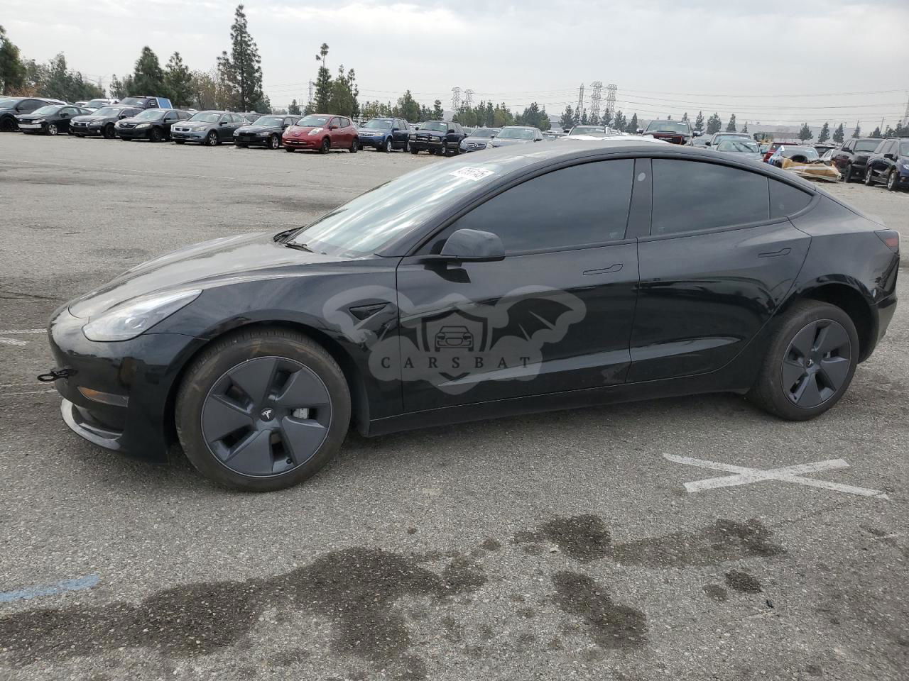 Tesla Model 3 2023