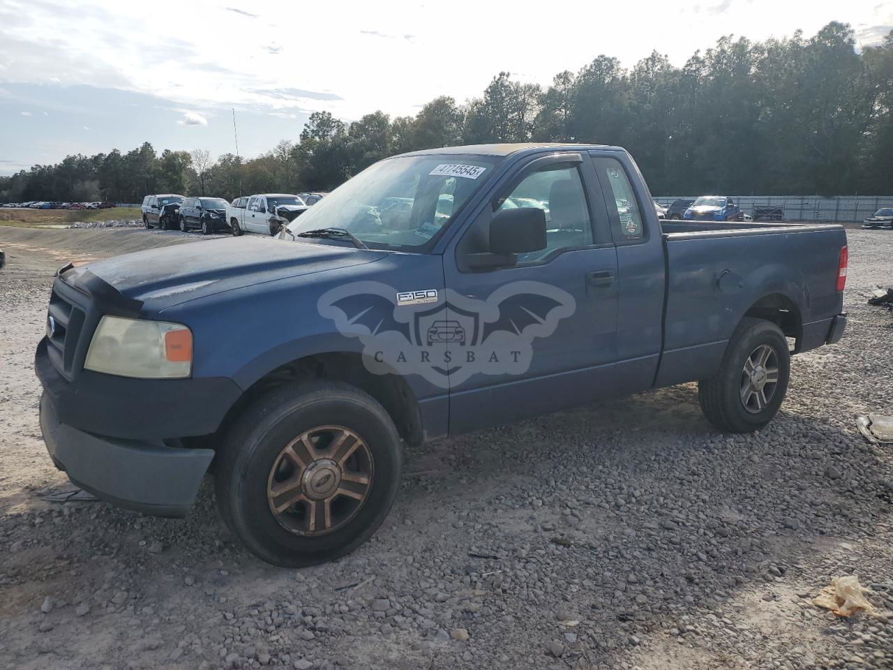 Ford F-150 4.6L  8 2005