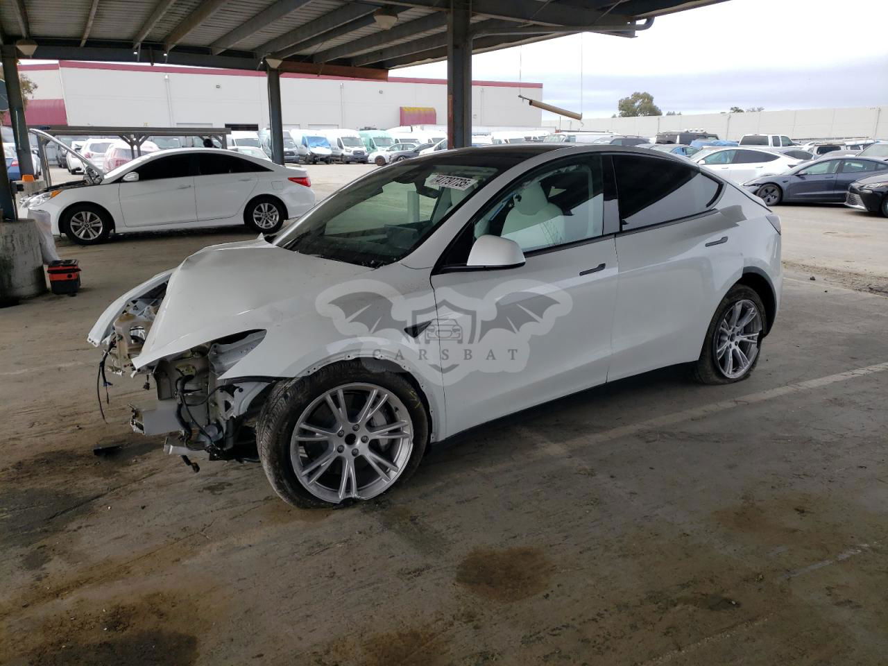 Tesla Model Y 2024