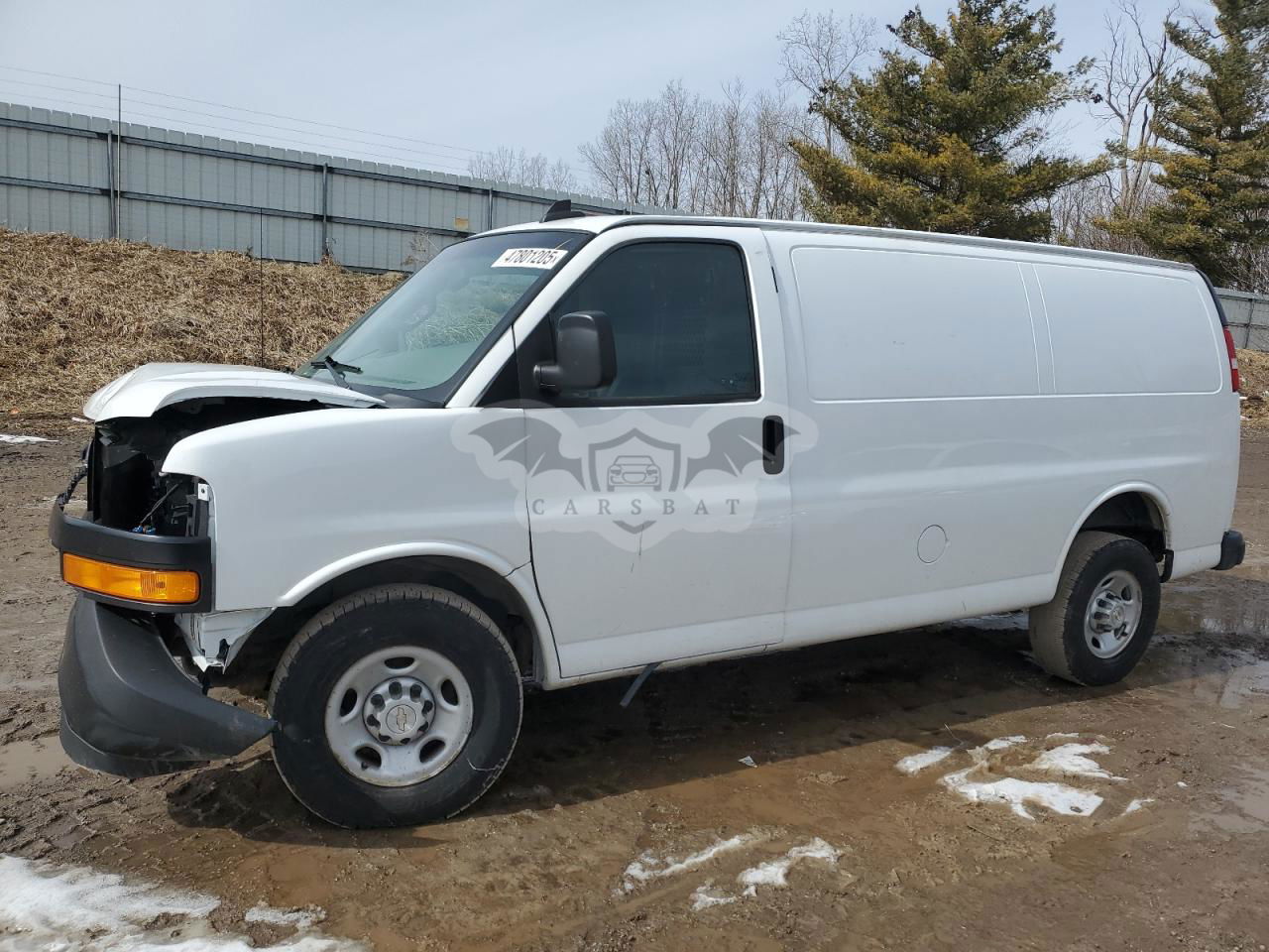 Chevrolet Express 6.0L  8 2020