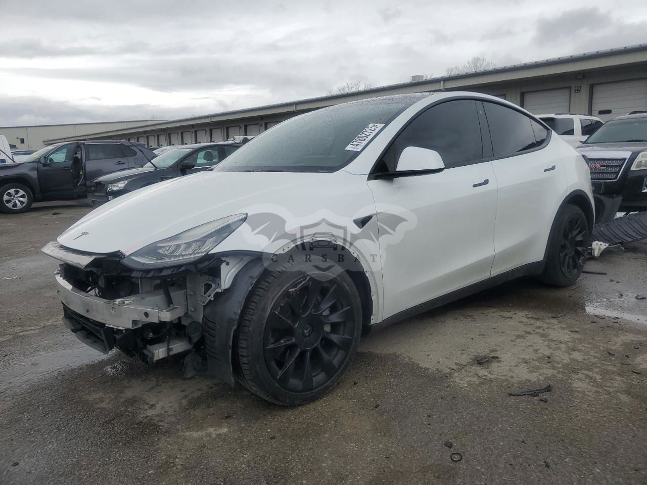Tesla Model Y 2020