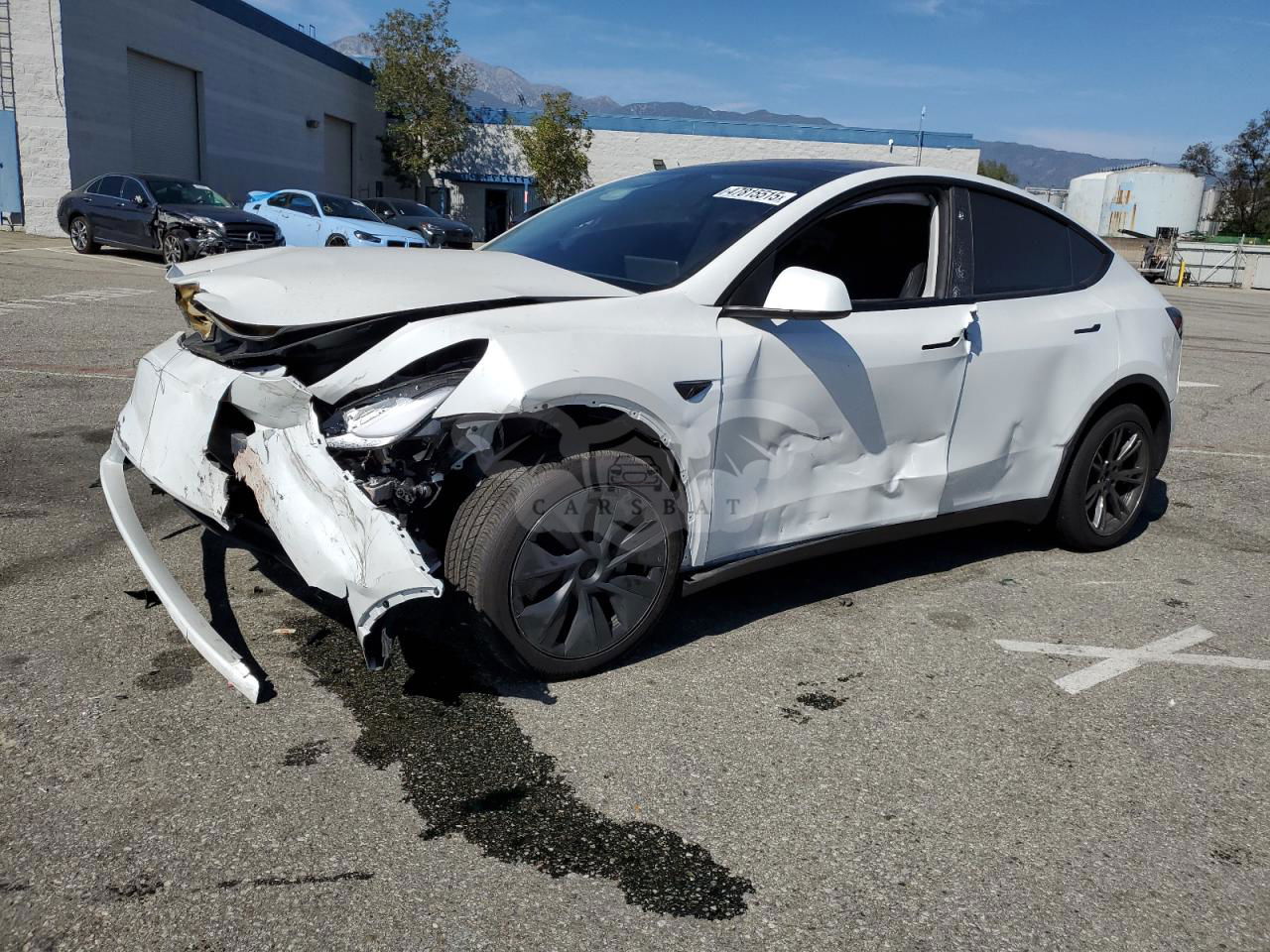 Tesla Model Y 2024
