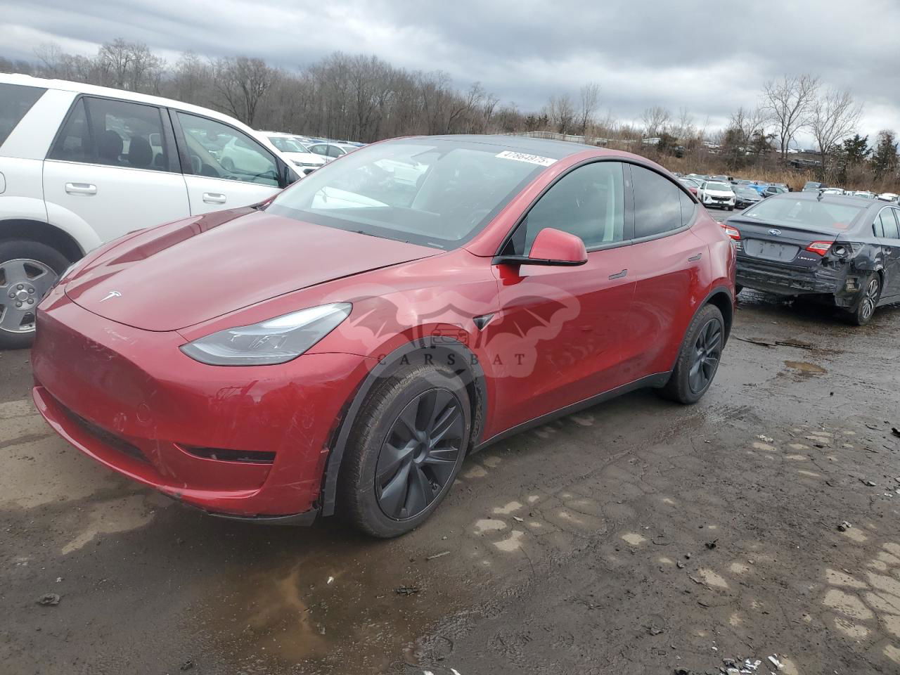 Tesla Model Y 2024