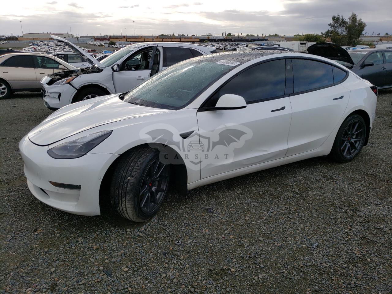 Tesla Model 3 2021