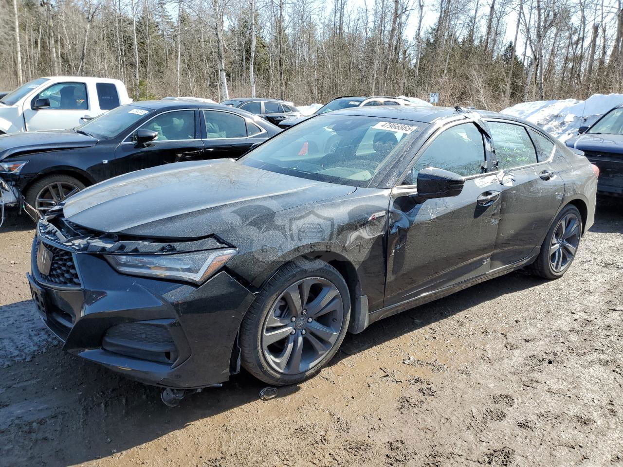 Acura TLX A-SPEC 2.0L  4 2023