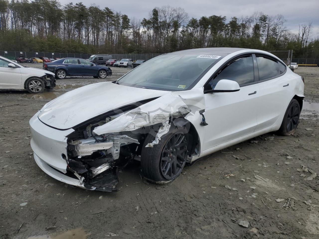 Tesla Model 3 2024