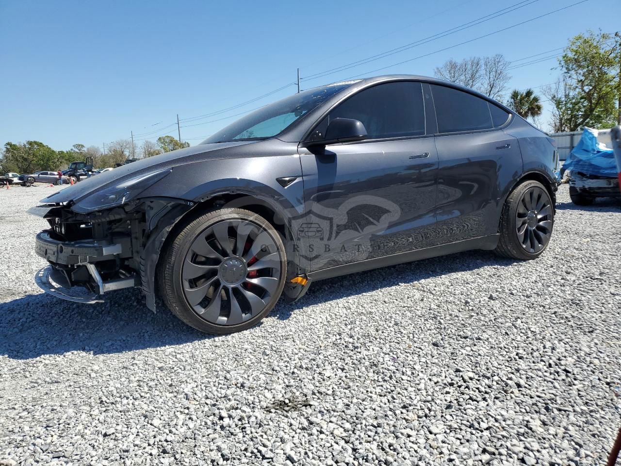 Tesla Model Y 2024