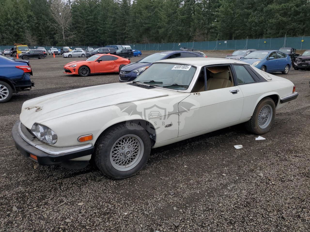 Jaguar XJS 5.3L 12 1989