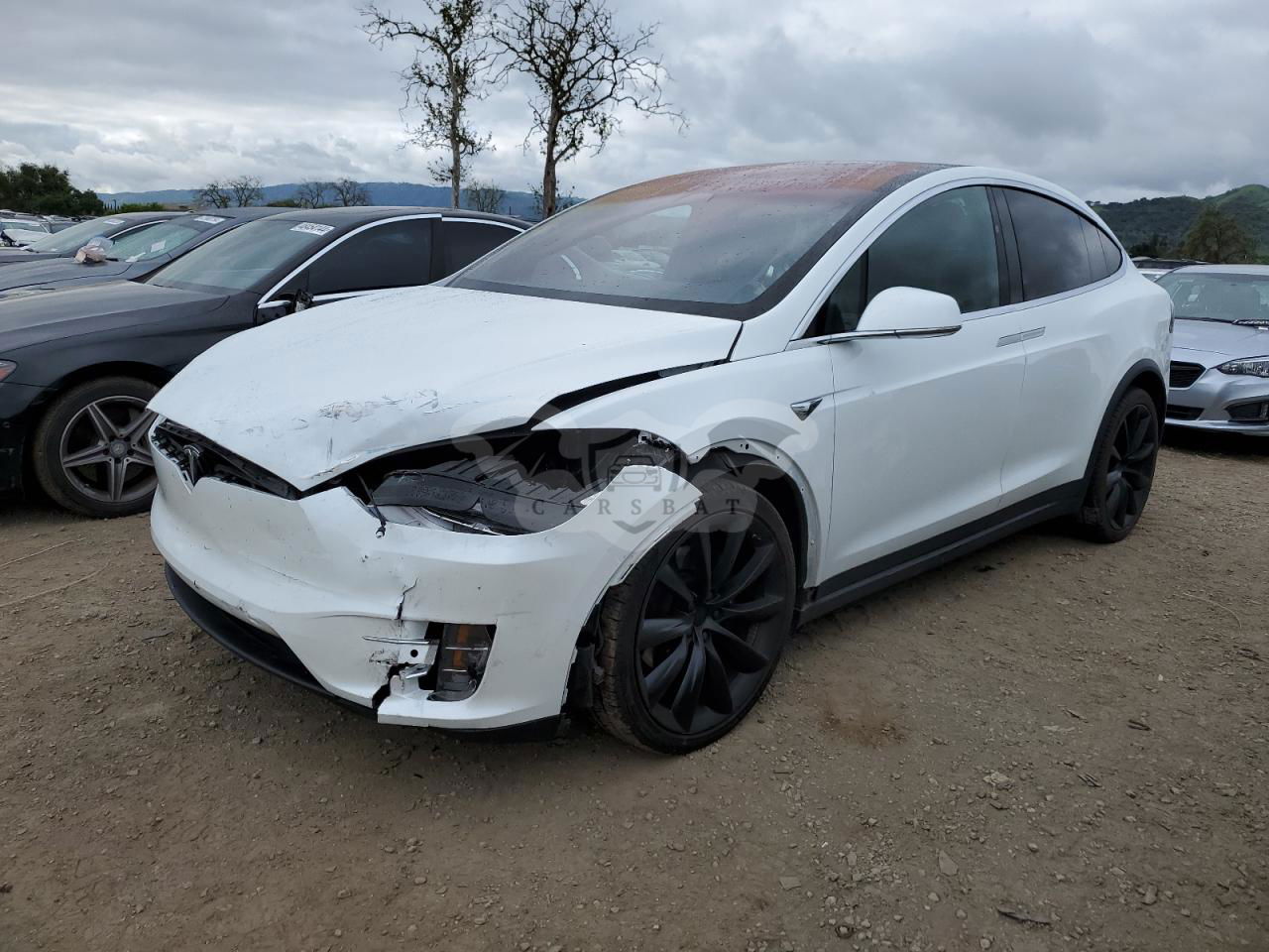 Tesla Model X 2020
