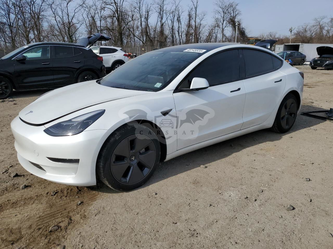 Tesla Model 3 2023