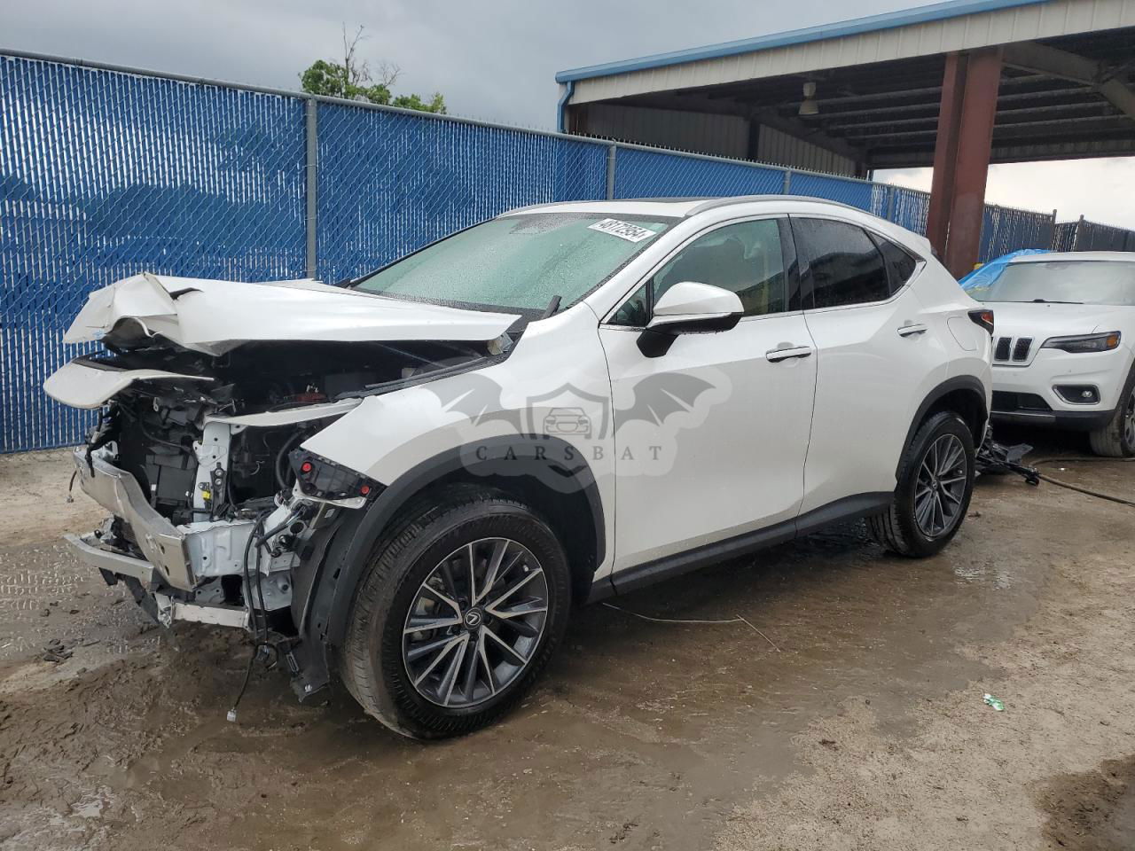 Lexus NX 2024