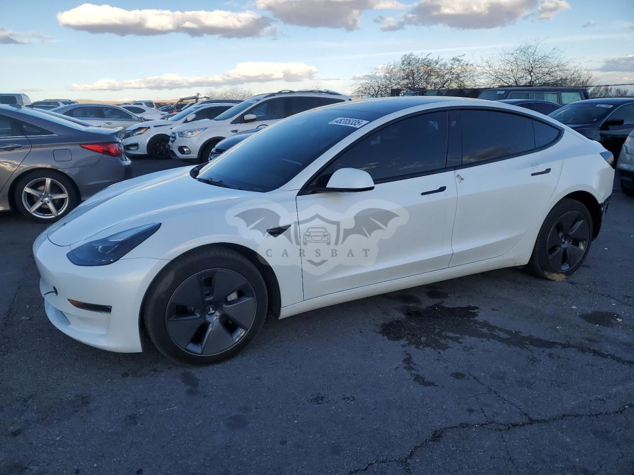 Tesla Model 3 2023