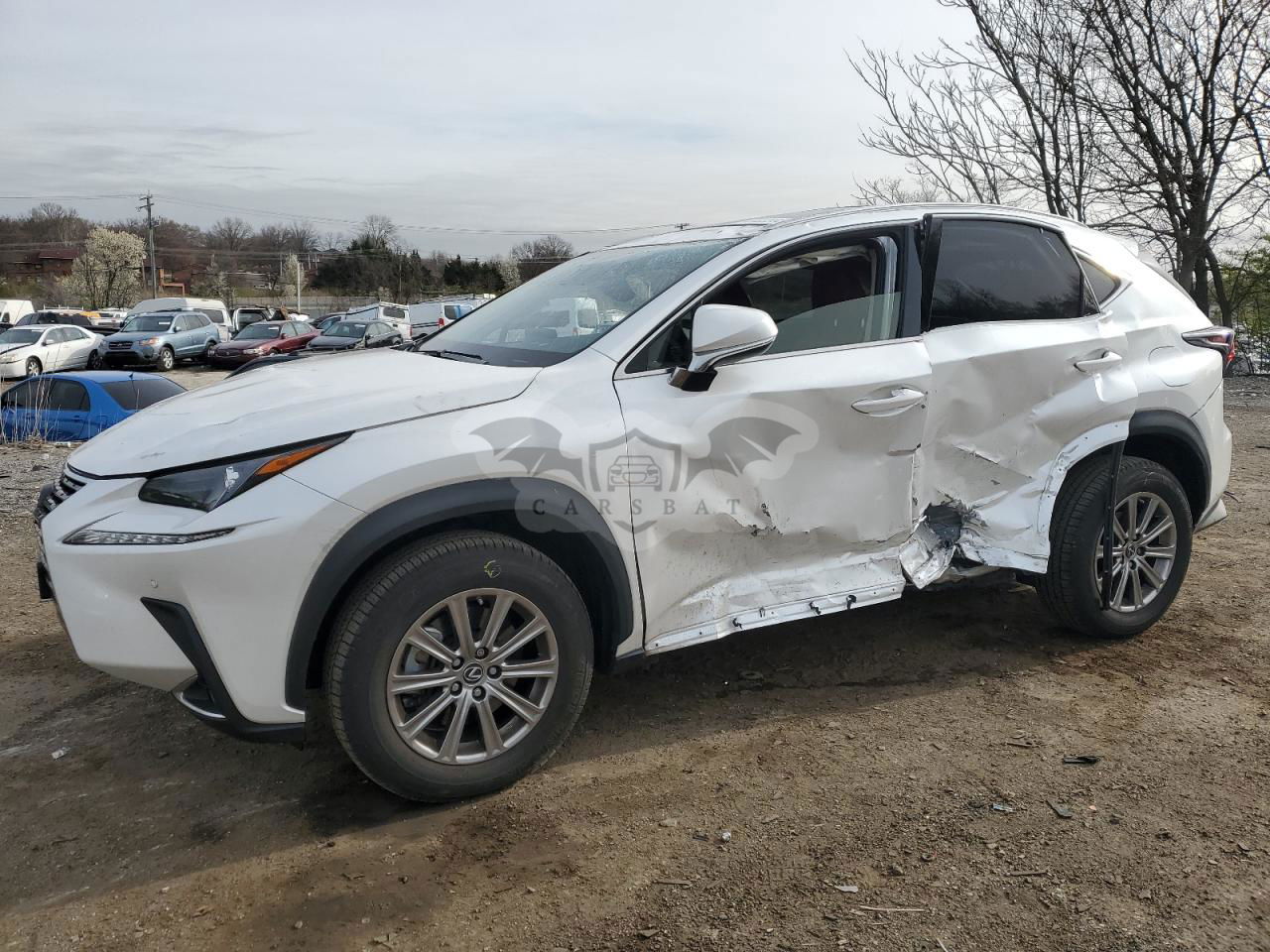 Lexus NX 2021