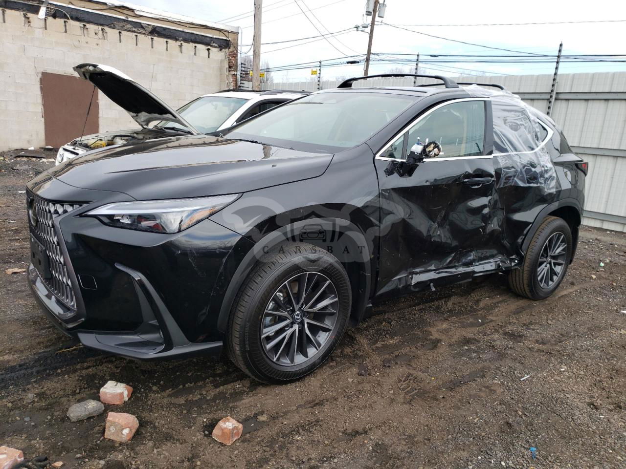 Lexus NX 2024