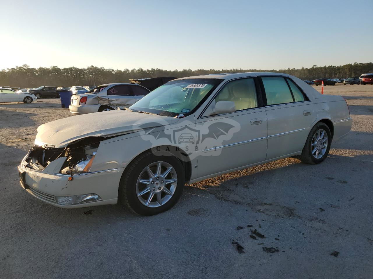 Cadillac DTS LUXURY COLLECTION 4.6L  8 2010
