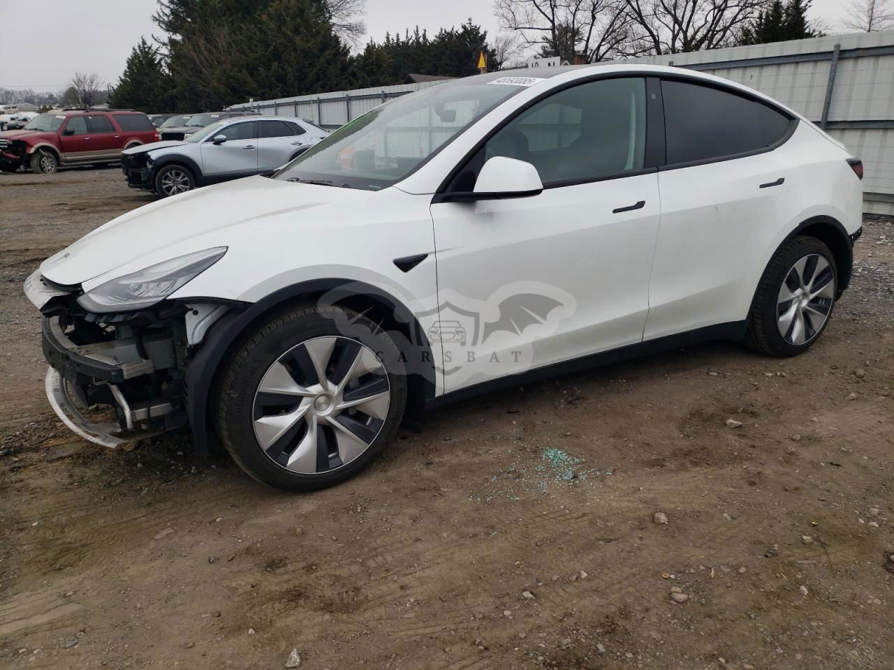 Tesla Model Y 2020