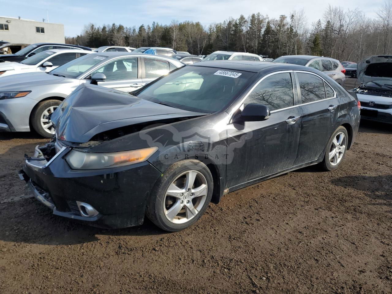 Acura TSX 2.4L  4 2012