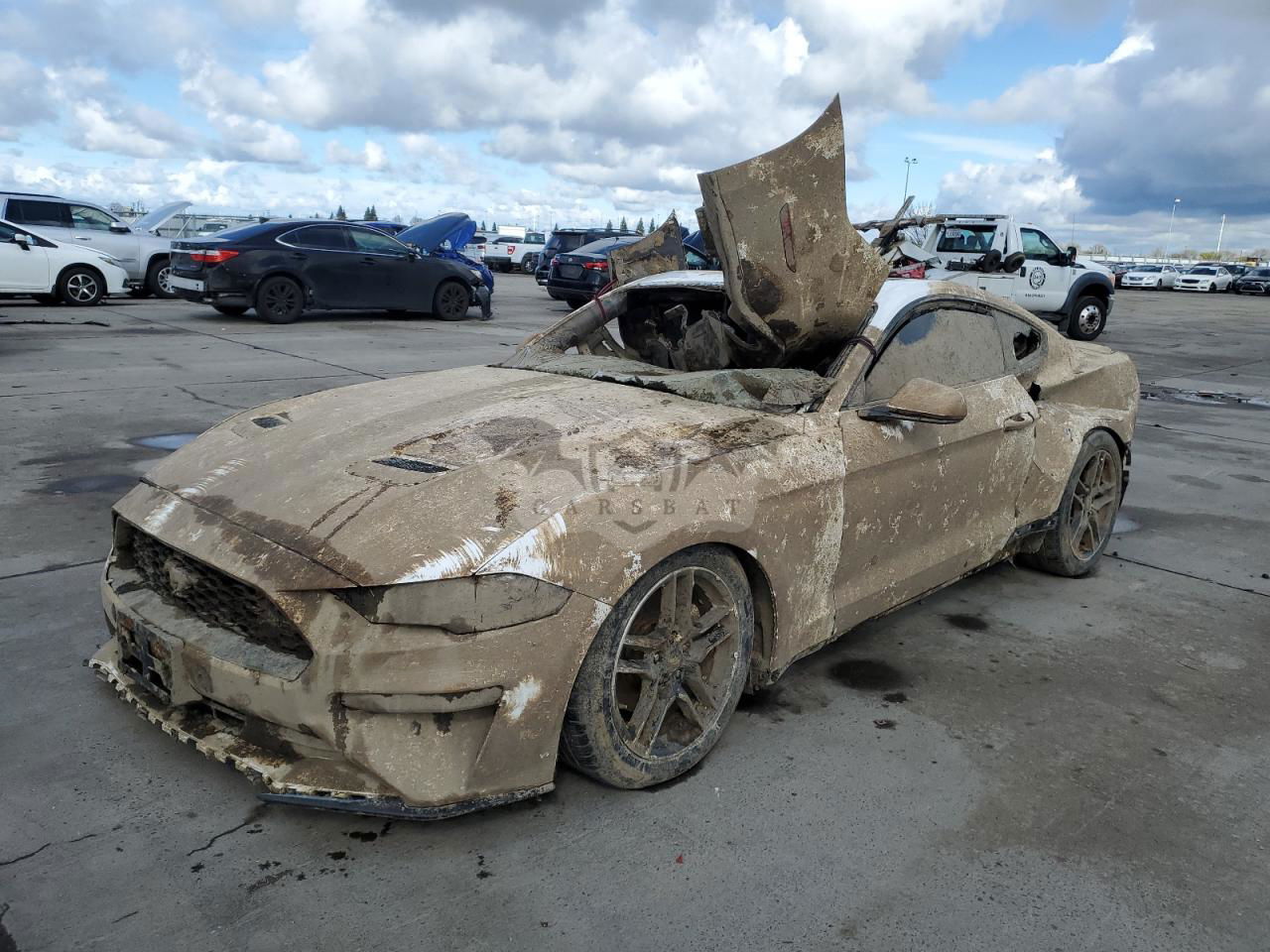 Ford Mustang 2.3L  4 2021