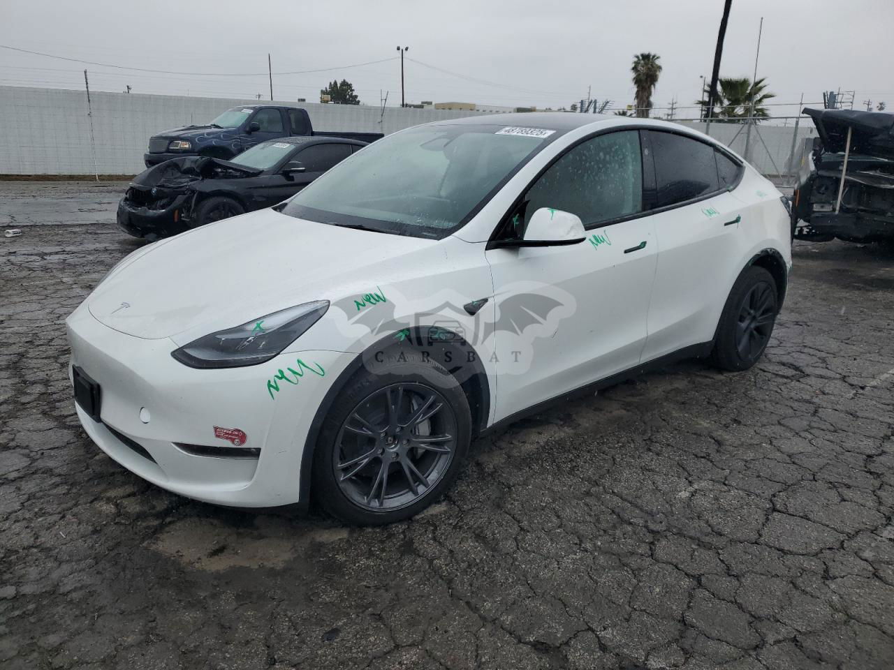 Tesla Model Y 2024