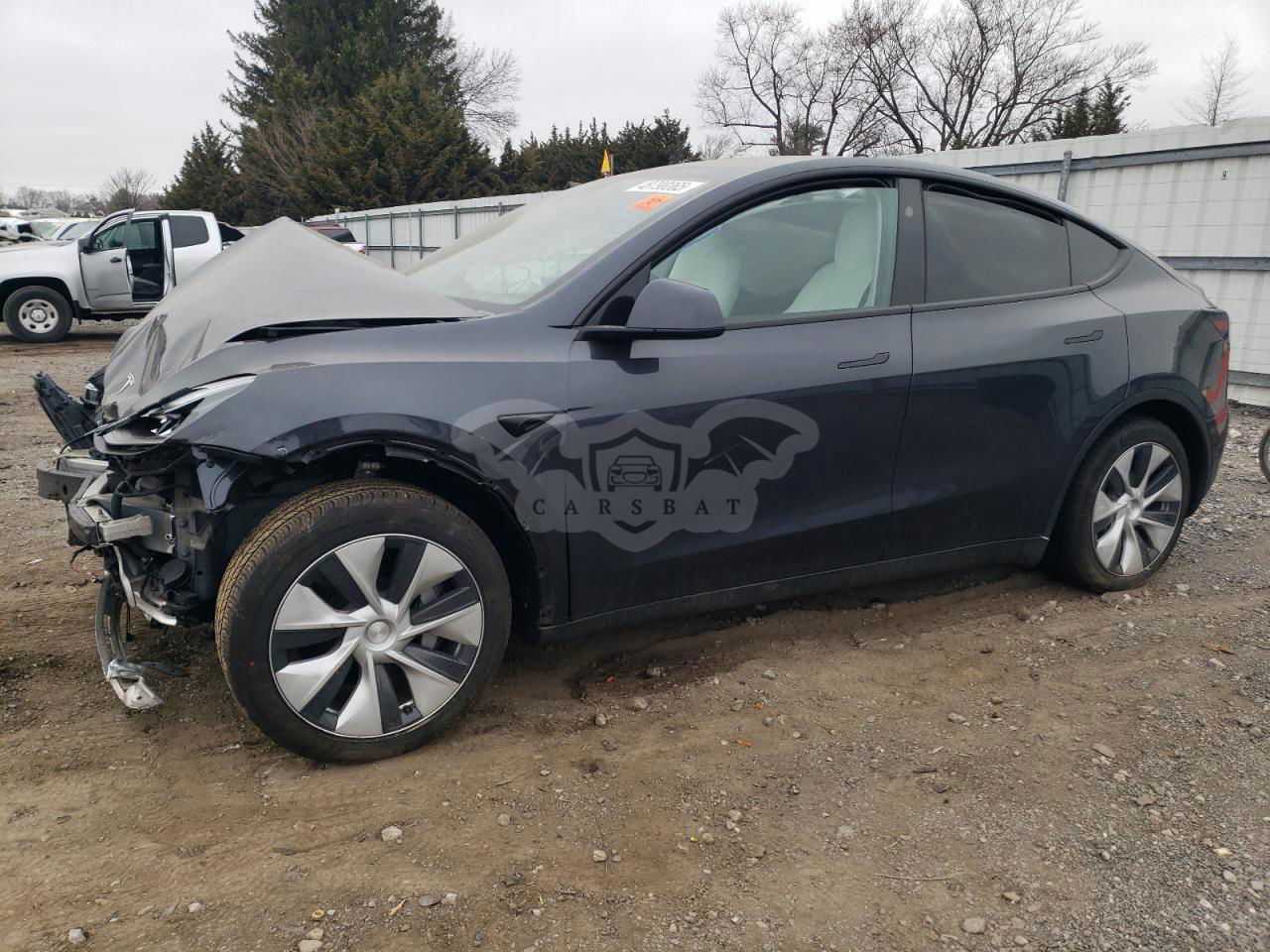 Tesla Model Y 2024