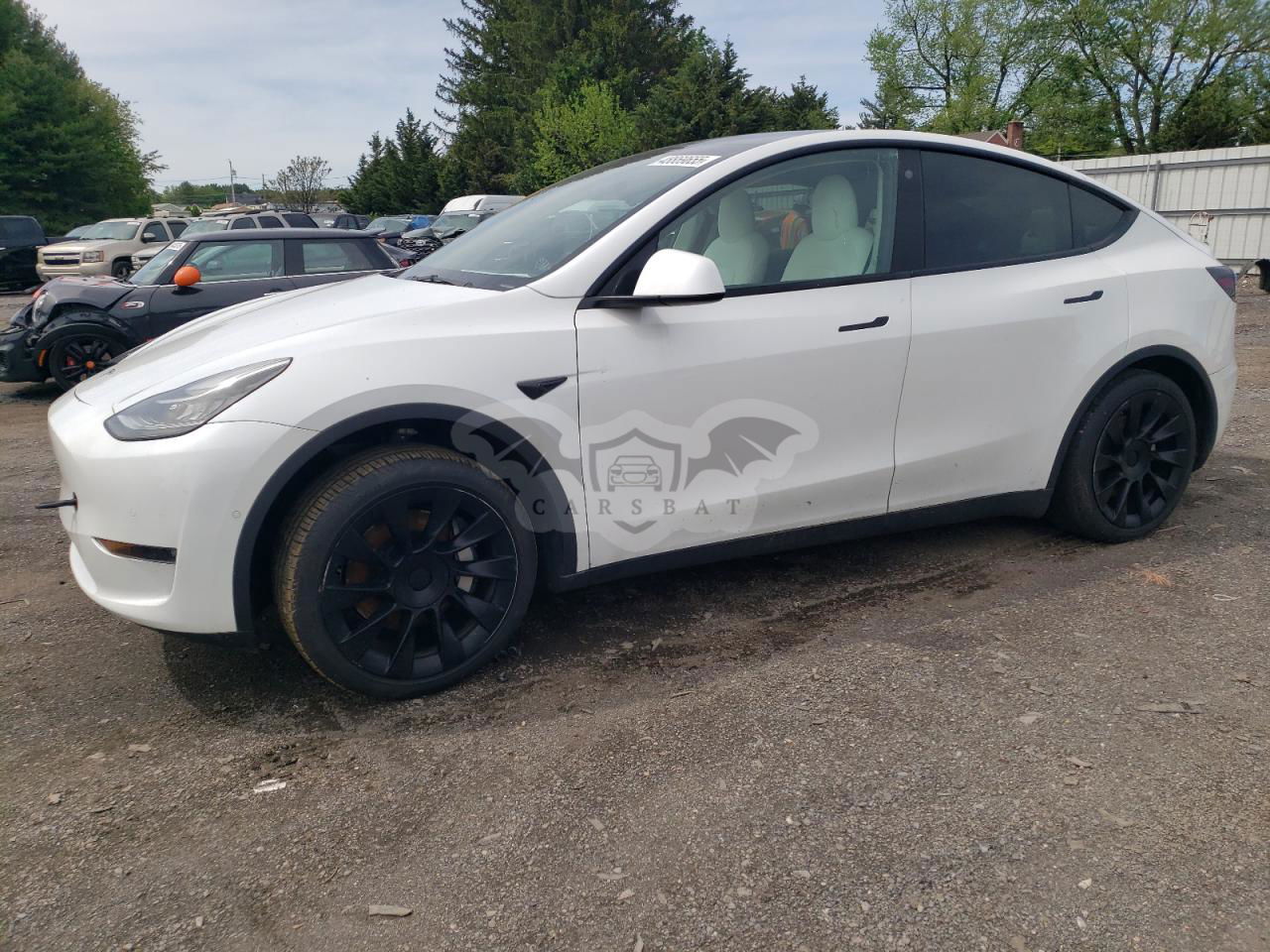 Tesla Model Y 2022