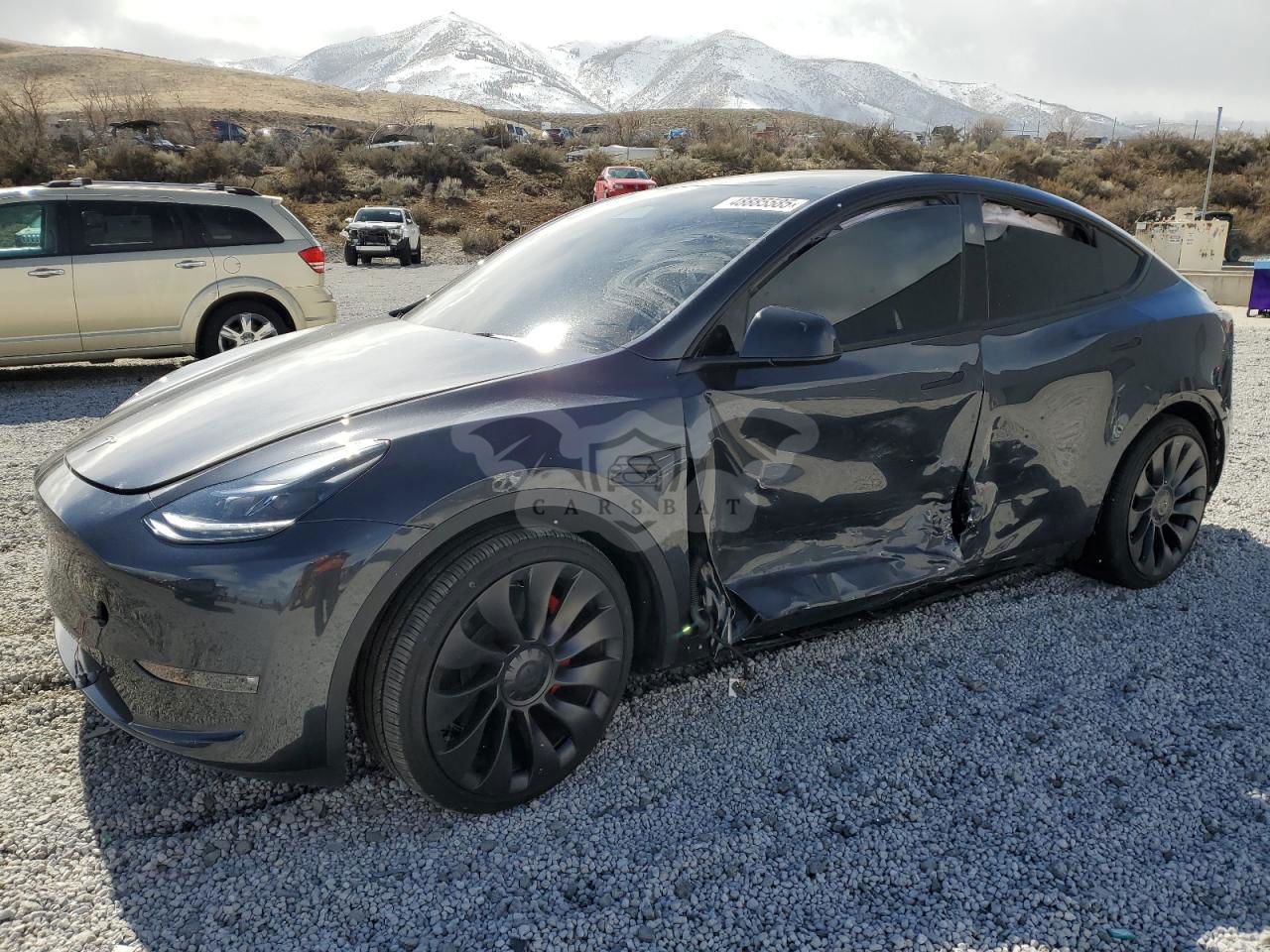 Tesla Model Y 2024
