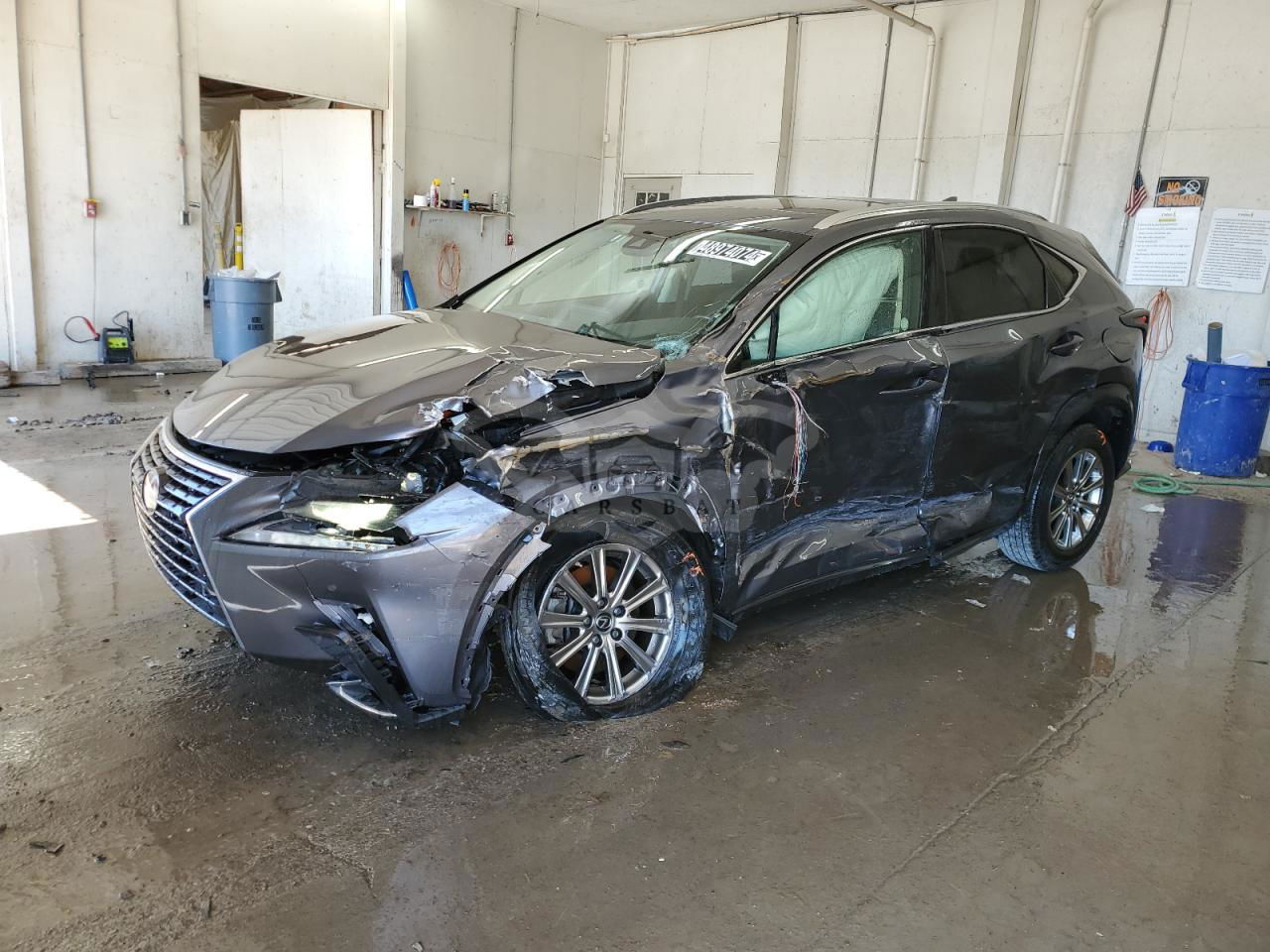 Lexus NX 2021