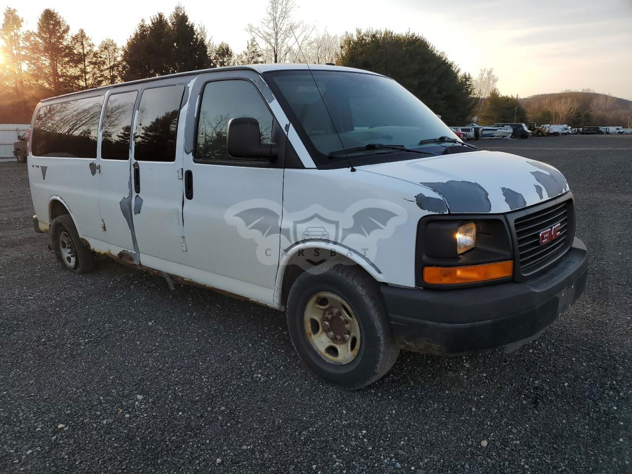 Chevrolet Express LS 6.0L  8 2010