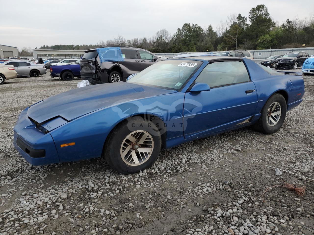 Pontiac Firebird 3.1L  6 1991